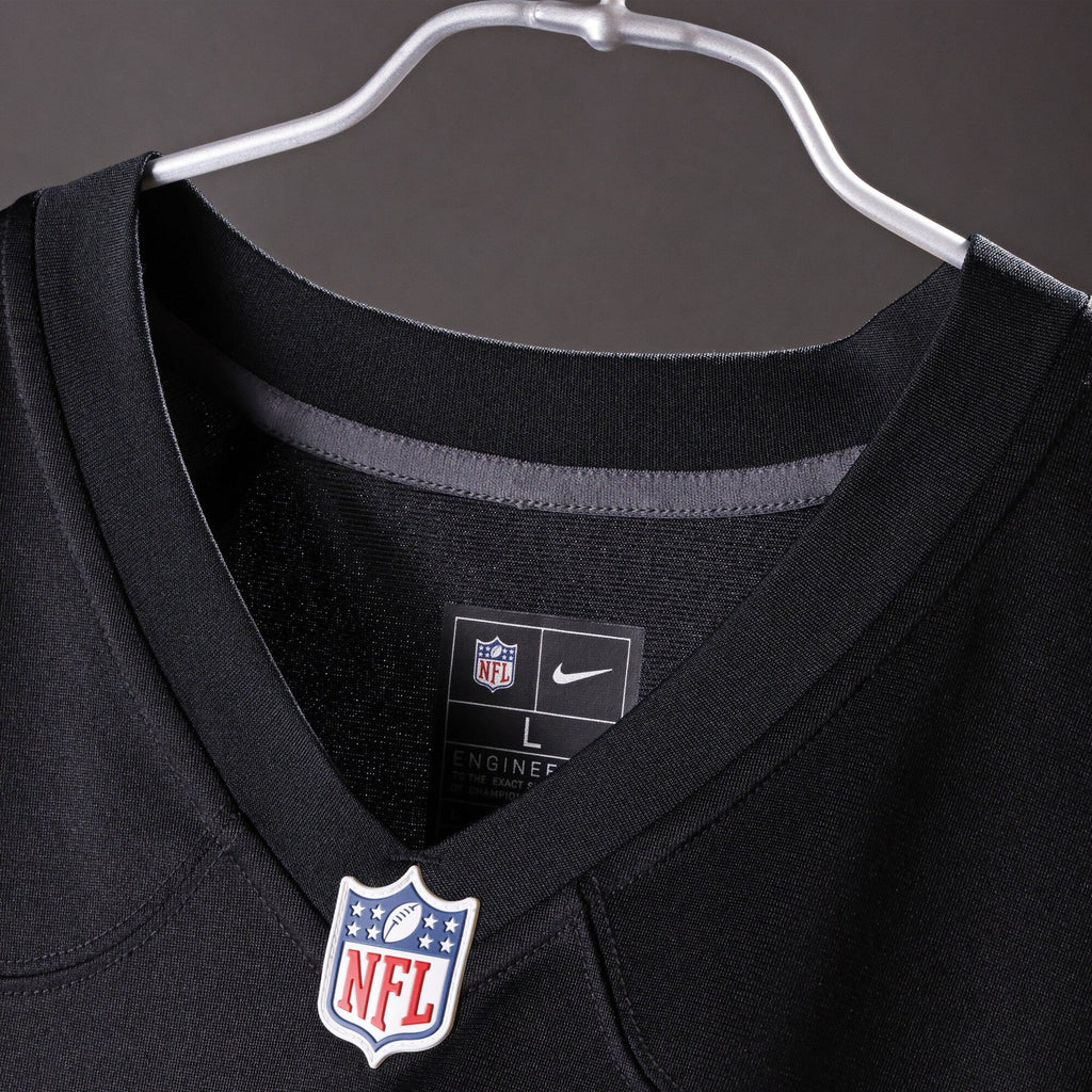 Washington Commanders Sean Taylor Nike Black Hail Raiser Alternate Retired Player Game Jersey